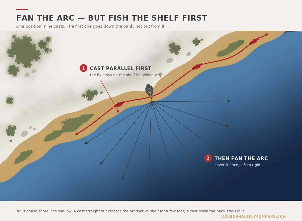 Overhead diagram showing a fan cast arc into open water versus a cast run parallel along the shallow shelf | Jackson Hole Fly Company