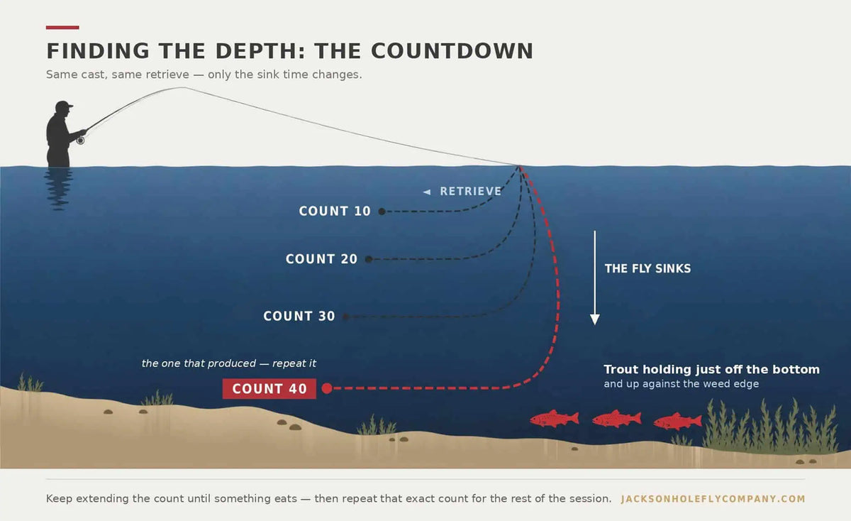 Diagram of the countdown method showing four fly paths at increasing depths with trout holding near the bottom | Jackson Hole Fly Company