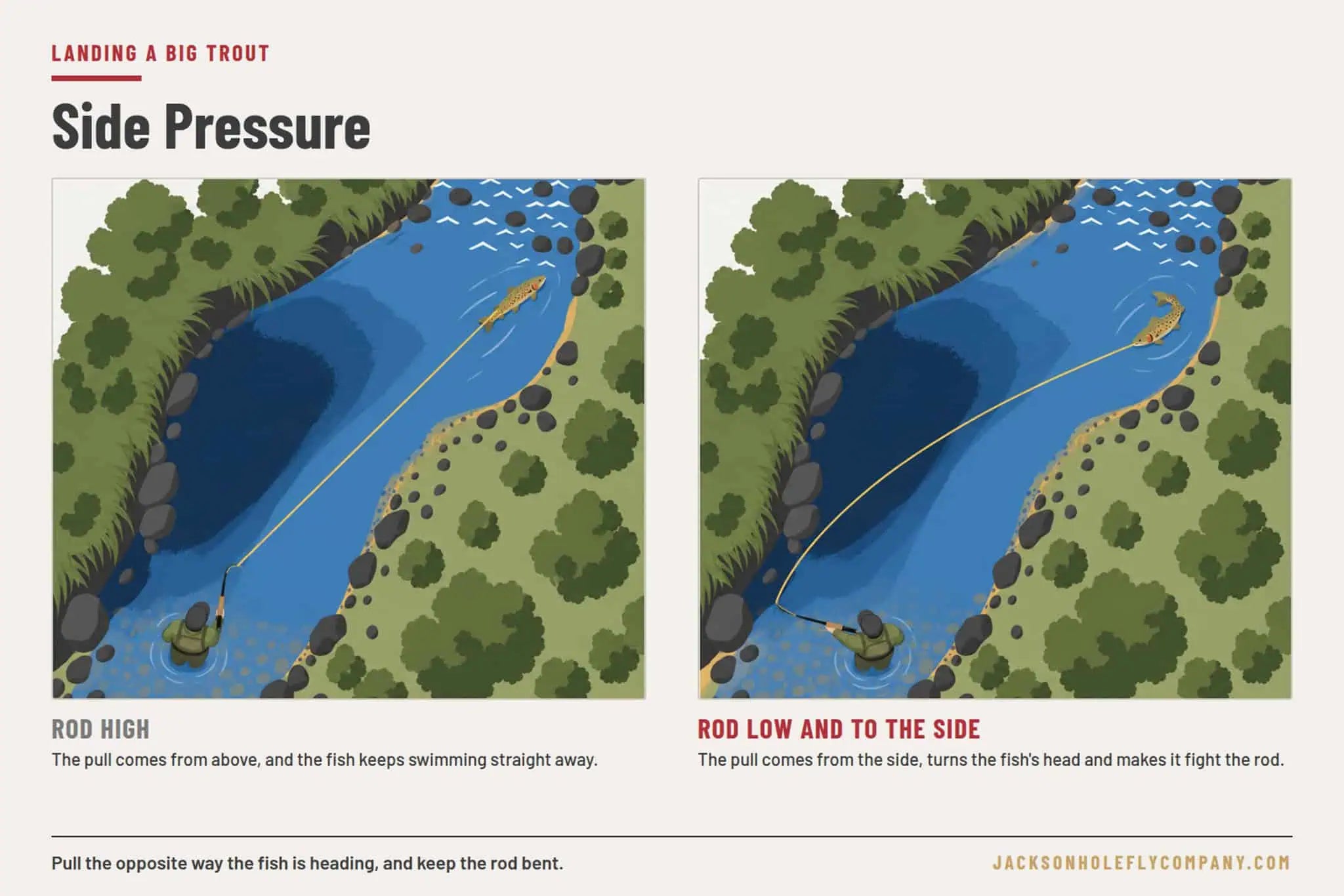Two overhead panels of an angler fighting a trout: with the rod held high the fish swims straight away, and with the rod low and to the side the pull turns the fish's head back toward the angler | Jackson Hole Fly Company
