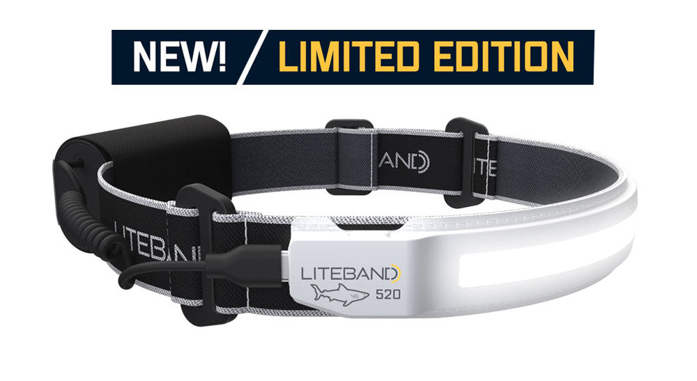 ACTIV 520 Lumen LED Wide Beam Rechargeable Headlamp