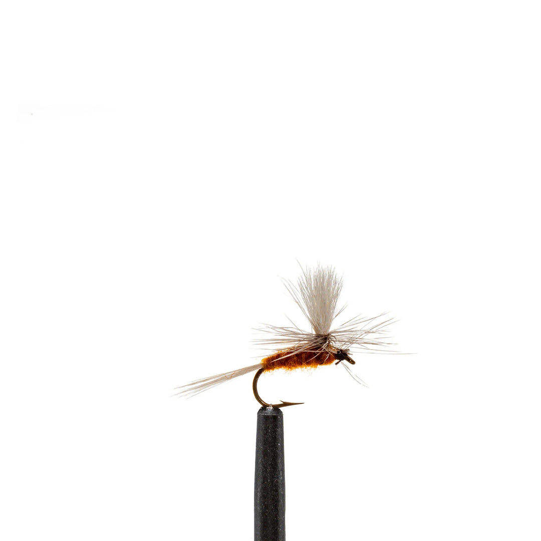 Parachute Mahogany Dun - Dry Flies, Flies | Jackson Hole Fly Company