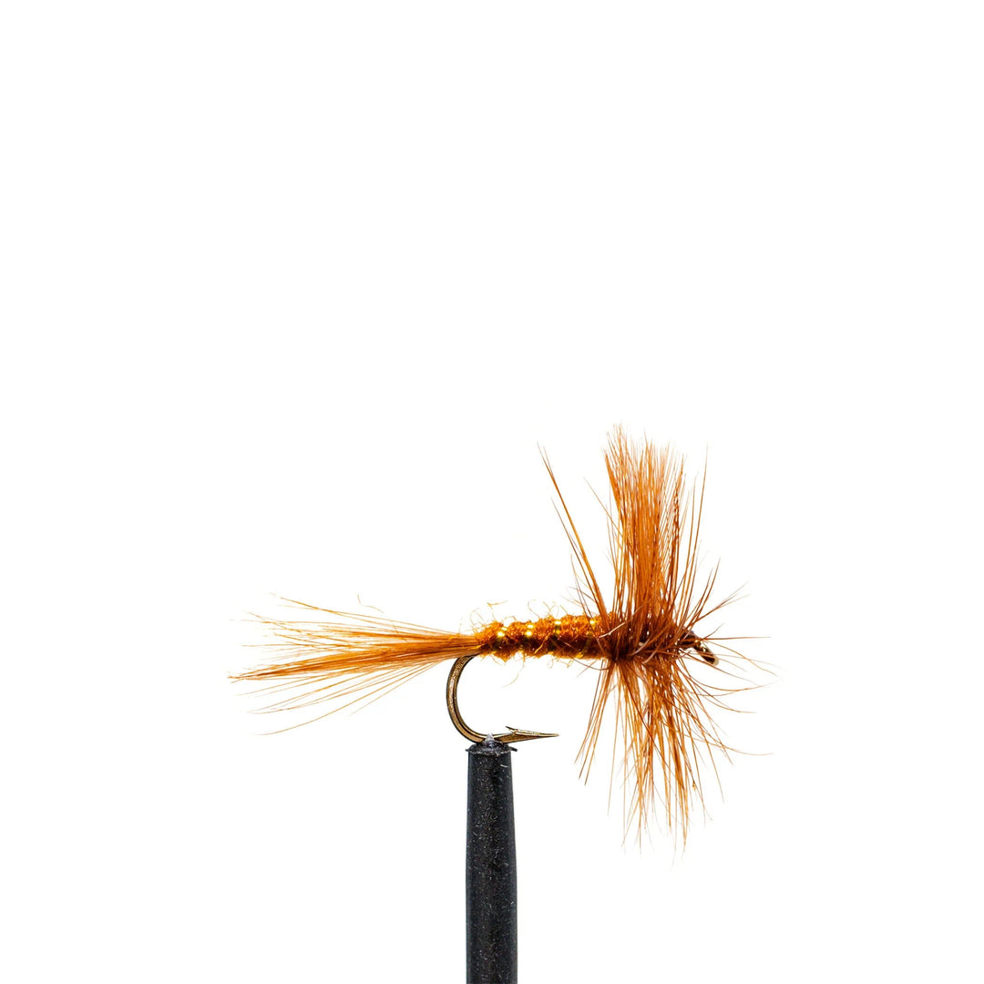 March Brown - 10