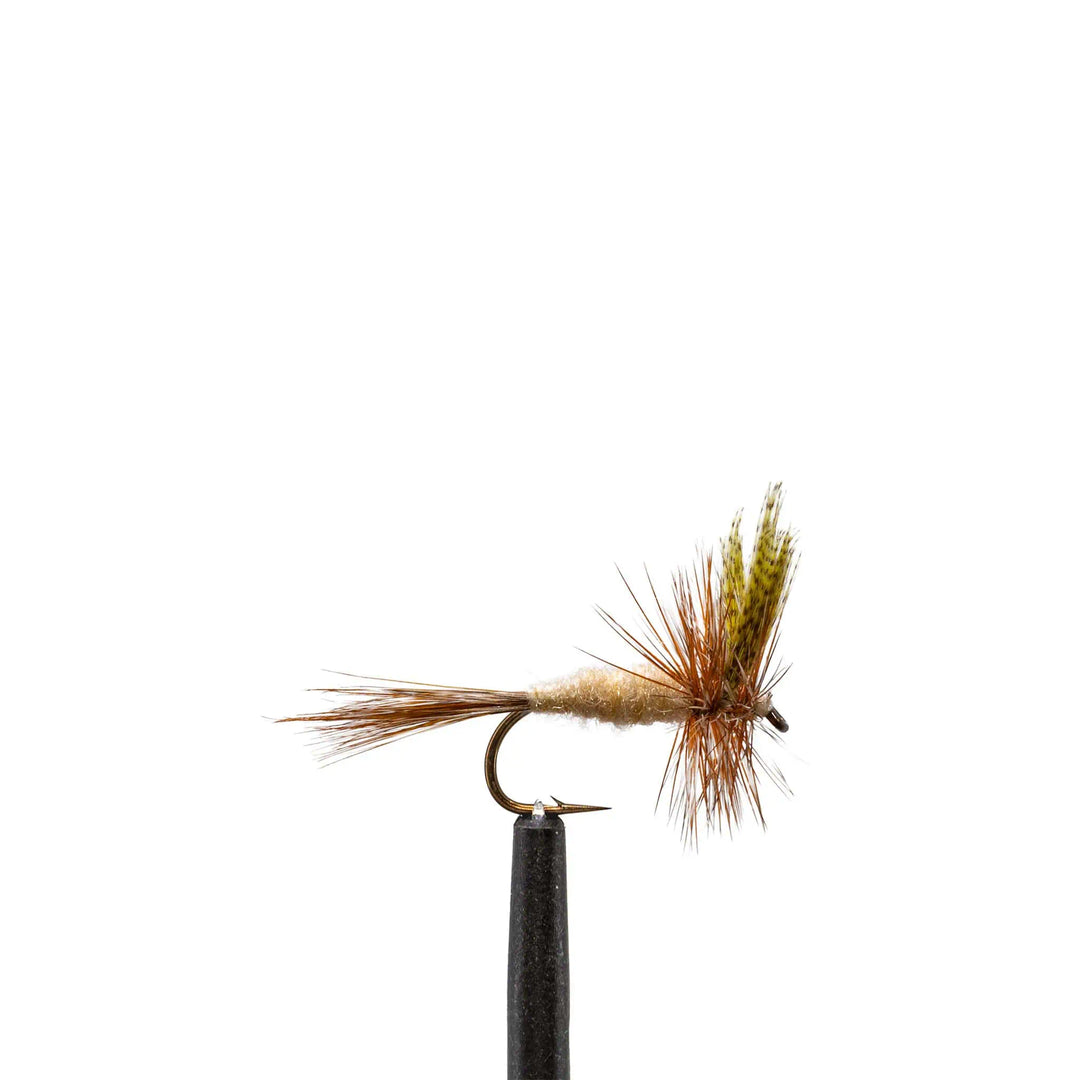 March Brown Traditional - Dry Flies, Flies | Jackson Hole Fly Company