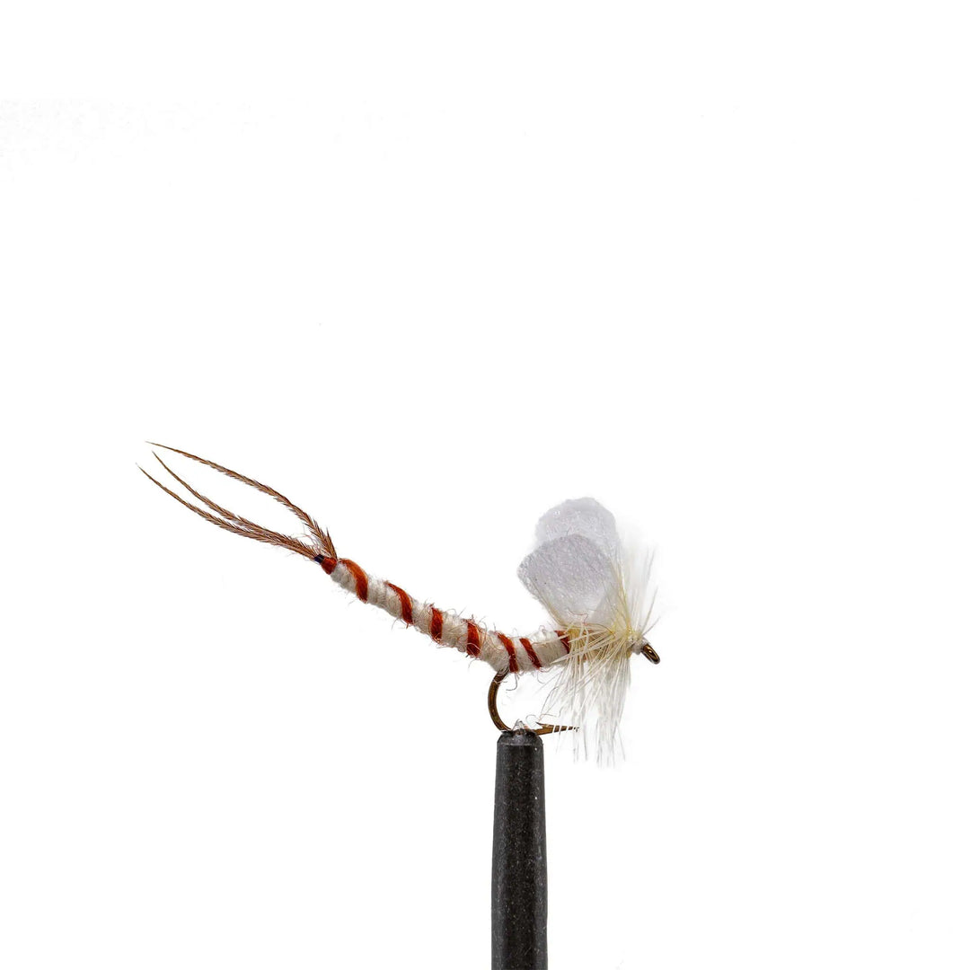 Cream Mayfly - Dry Flies, Flies | Jackson Hole Fly Company