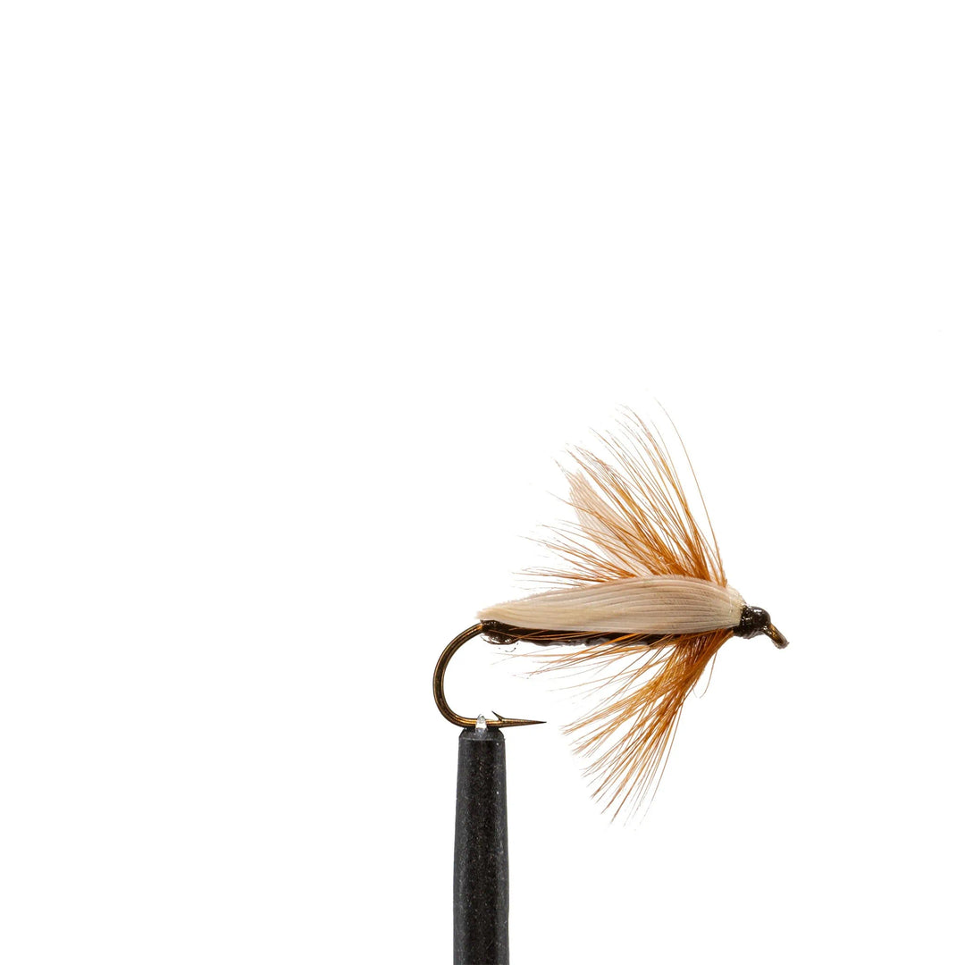 Mosiers Ant Black - Dry Flies, Flies, Terrestrials, 1201 | Jackson Hole Fly Company