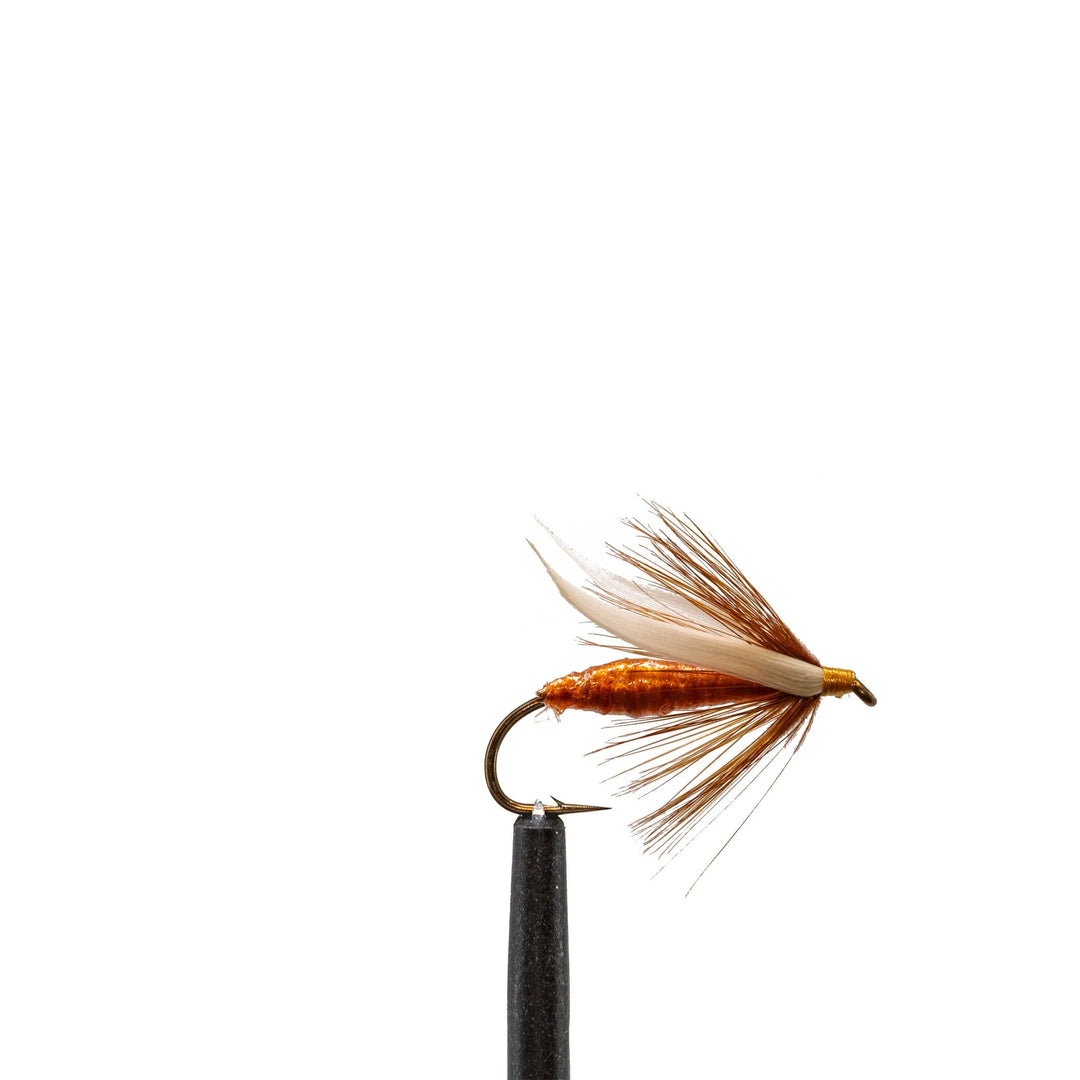 Mosier's Ant Brown - Dry Flies, Flies, Terrestrials, 1205 | Jackson Hole Fly Company