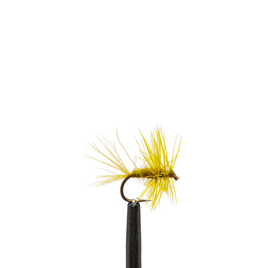 Olive Midge - Flies, Nymphs | Jackson Hole Fly Company