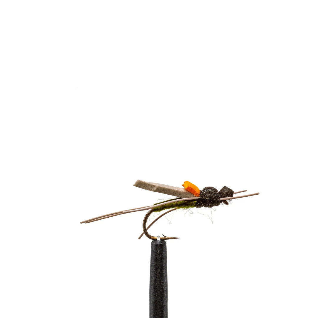 Timber Ant Olive - Dry Flies, Flies, Foam, Terrestrials, 1141 | Jackson Hole Fly Company