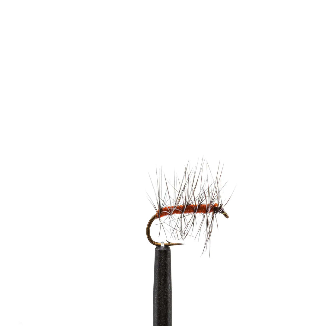 Orange Asher - Dry Flies, Flies | Jackson Hole Fly Company