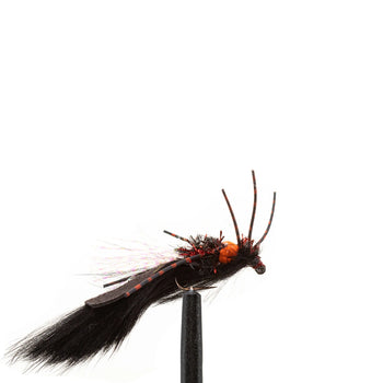 Orange Bead Zirdle Bug Black