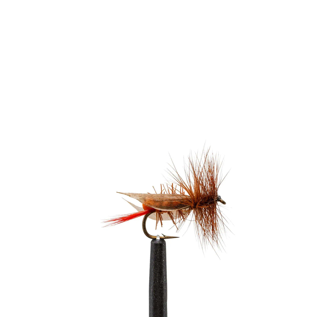 Orange Foam Hopper - Dry Flies, Flies, Foam, Terrestrials | Jackson Hole Fly Company