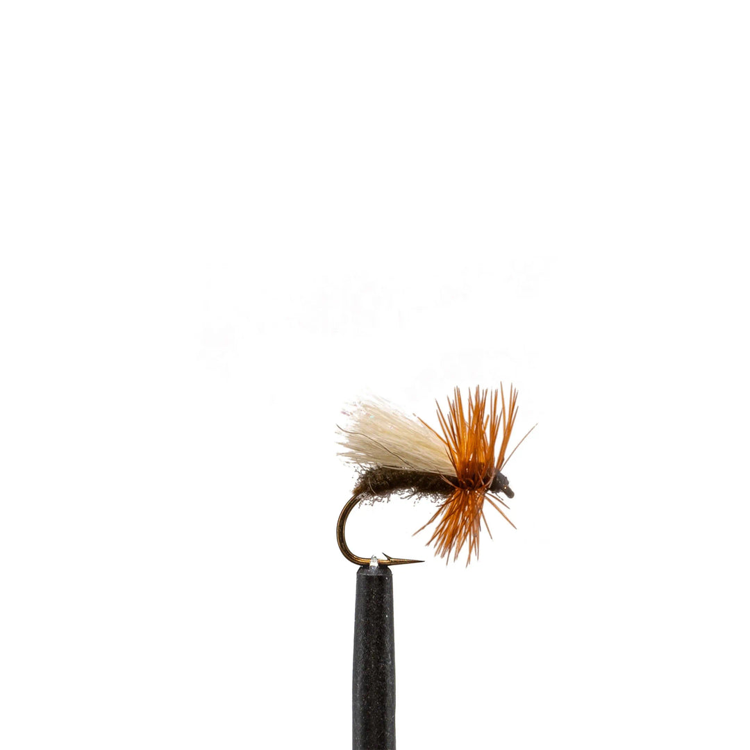 Peewee Alpine Ant - Dry Flies, Flies, Terrestrials, 1200 | Jackson Hole Fly Company