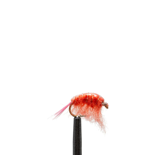 Pink Scud - Flies, Nymphs | Jackson Hole Fly Company