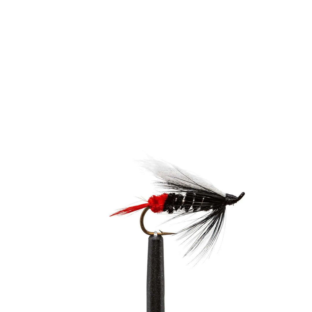 Red Butt Skunk - Flies, Intruders, Streamers | Jackson Hole Fly Company