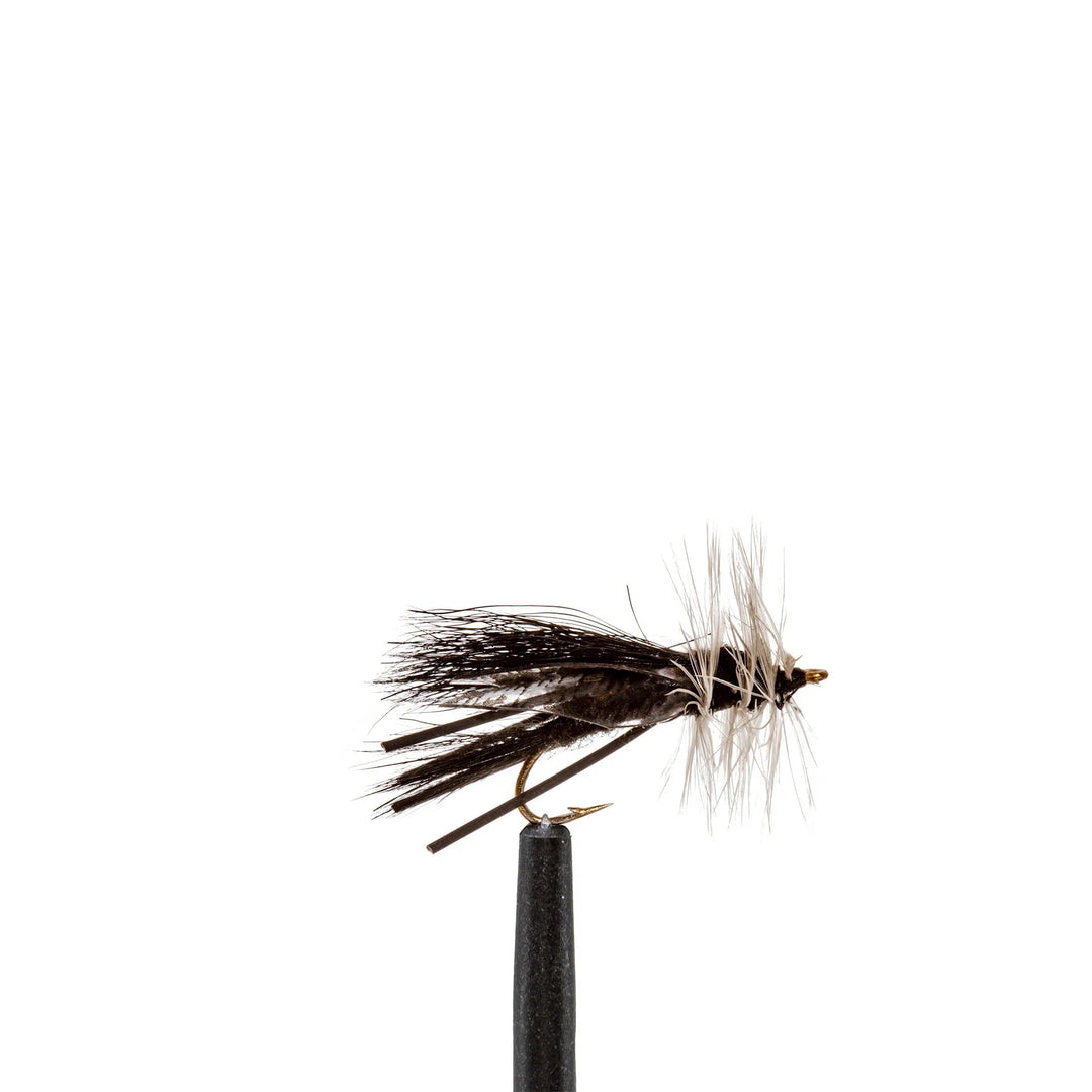 Skwala - Dry Flies, Flies | Jackson Hole Fly Company