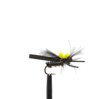 Snake River Beetle terrestrial dry fly | Jackson Hole Fly Company