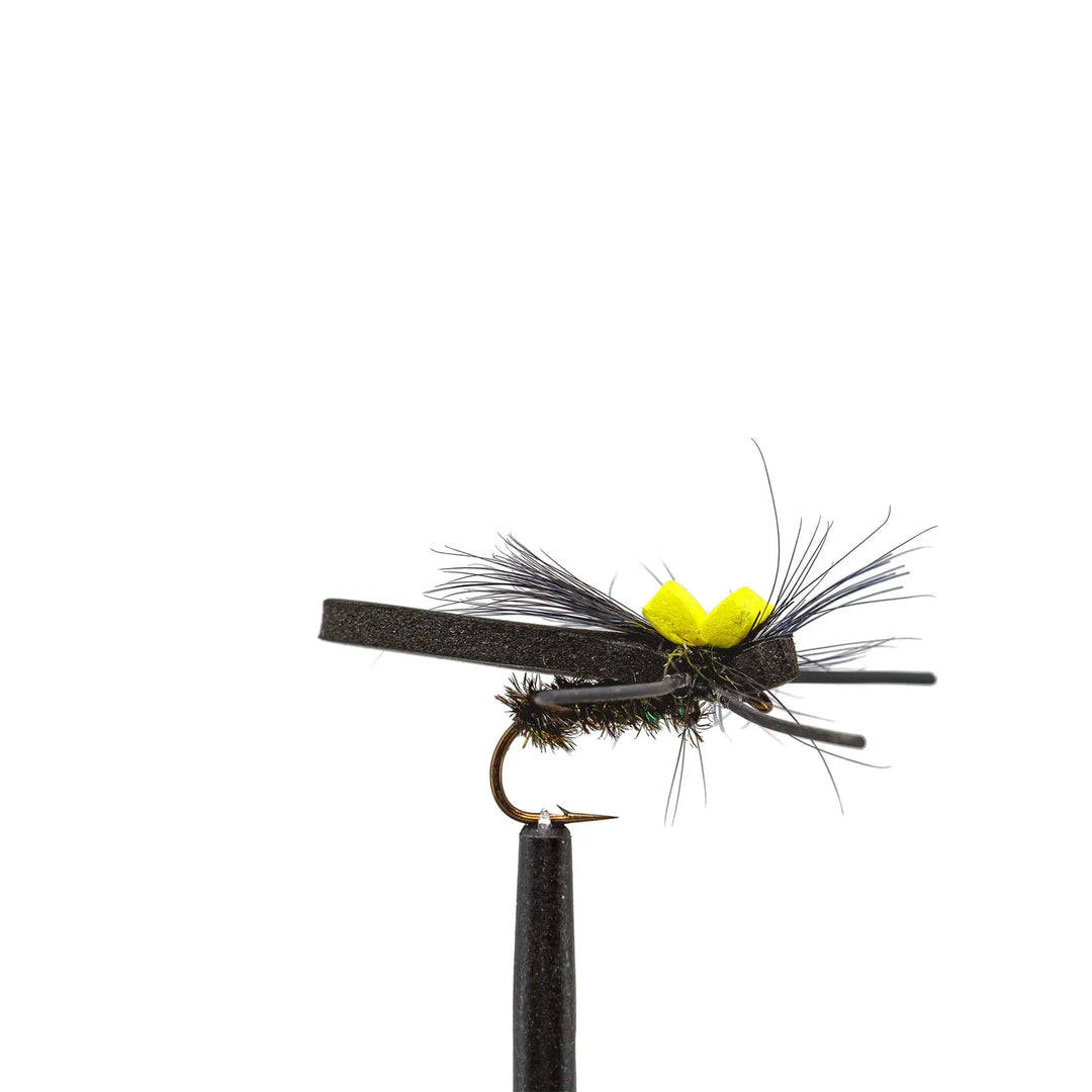 Snake River Beetle - Dry Flies, Flies, Foam, Terrestrials | Jackson Hole Fly Company