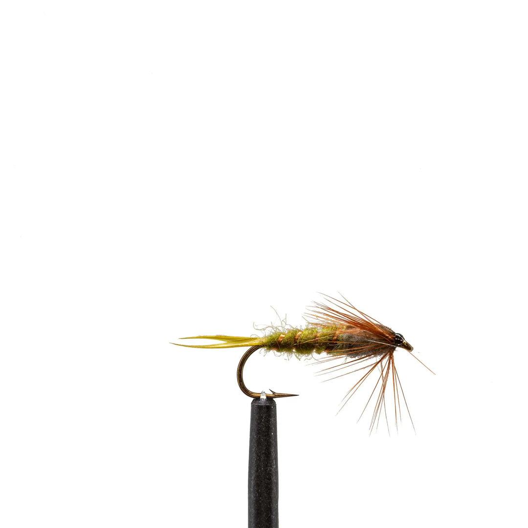 Olive Stonefly - Nymphs, Flies | Jackson Hole Fly Company