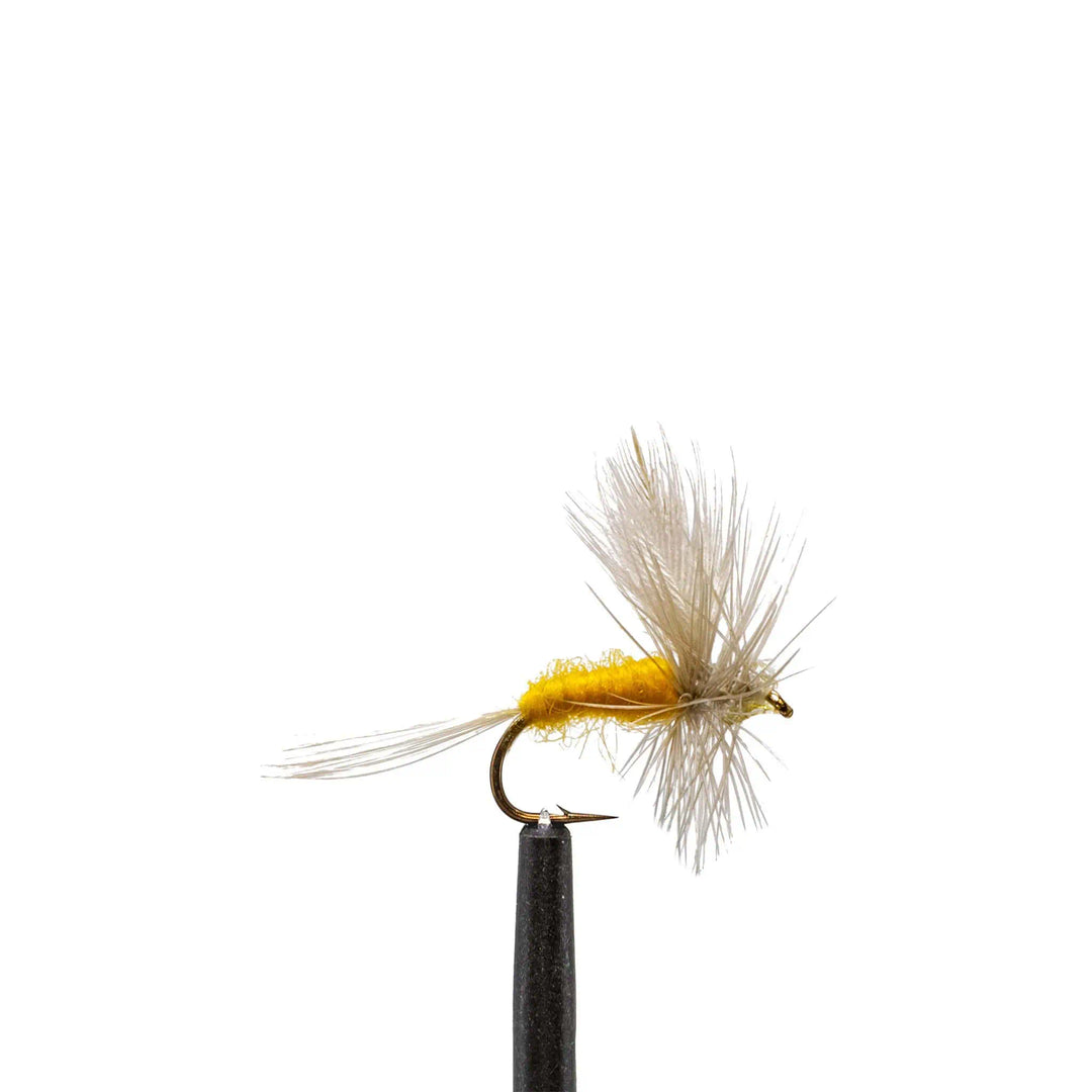 Sulphur Dun - Dry Flies, Flies | Jackson Hole Fly Company