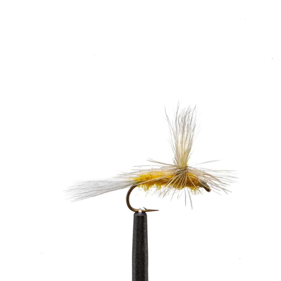Sulphur Para Dun - Dry Flies, Flies | Jackson Hole Fly Company