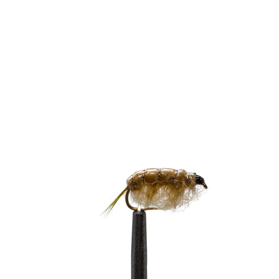 Tan Scud - Flies, Nymphs | Jackson Hole Fly Company