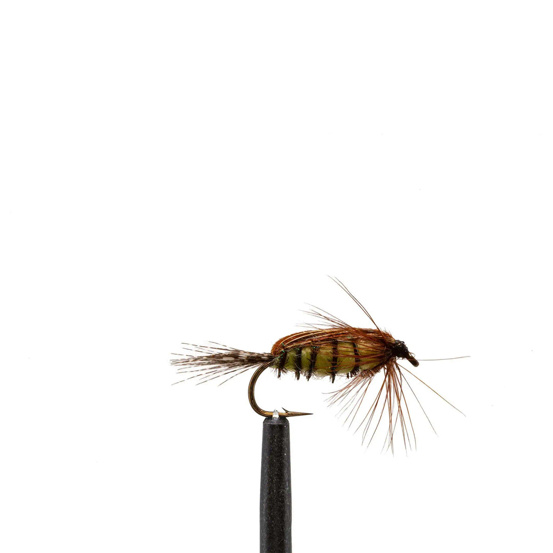 Tellico - Flies, nymphs | Jackson Hole Fly Company