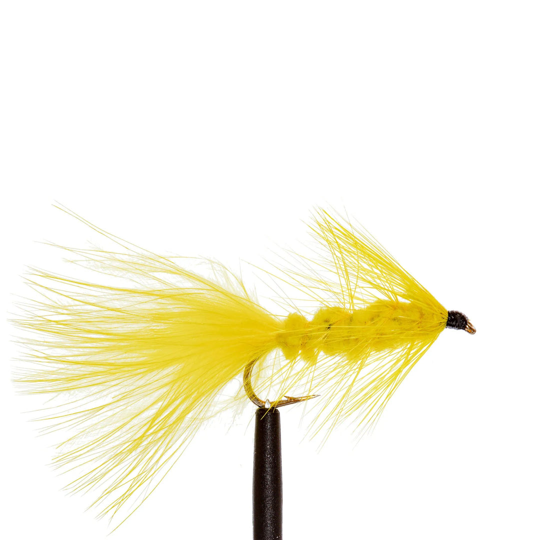 Wooly Bugger - Yellow - Flies, Streamers | Jackson Hole Fly Company