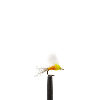 Yellow Sally CDC Emerger