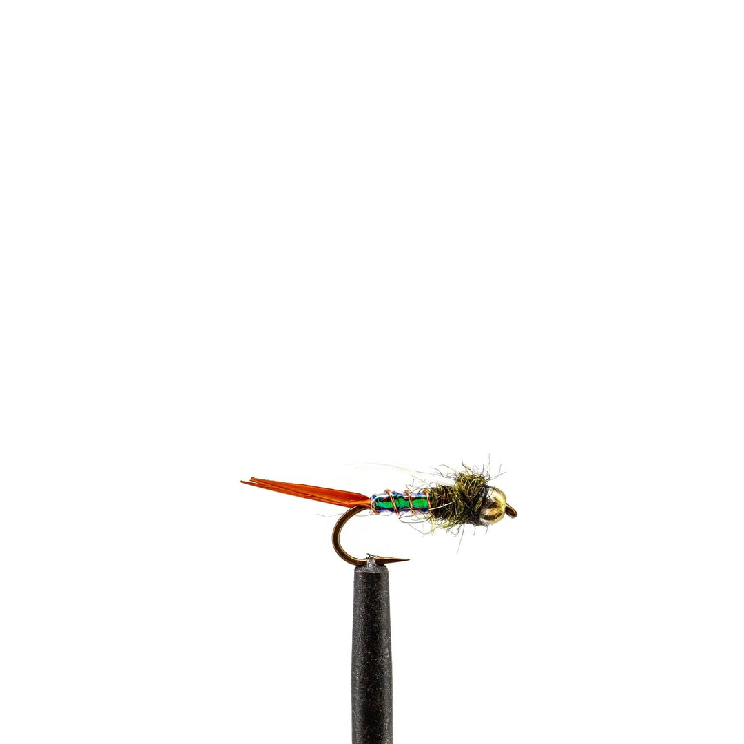 Beadhead Flash Prince Nymph - flies, nymphs | Jackson Hole Fly Company