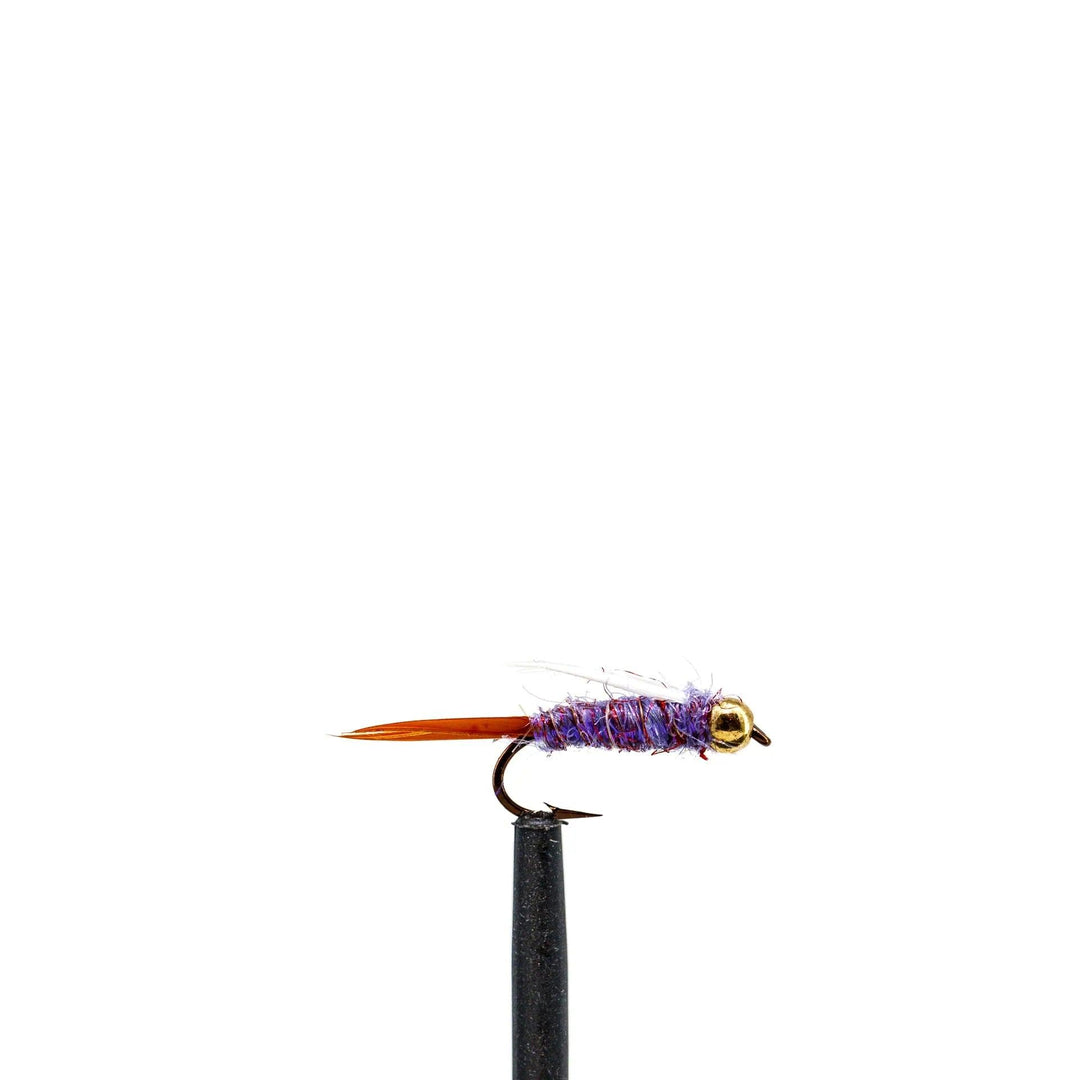 Beadhead Flash Purple Prince Nymph - nymph, Purple | Jackson Hole Fly Company