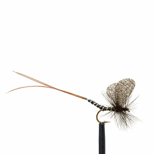 Black Mayfly - Dry Flies, Flies | Jackson Hole Fly Company