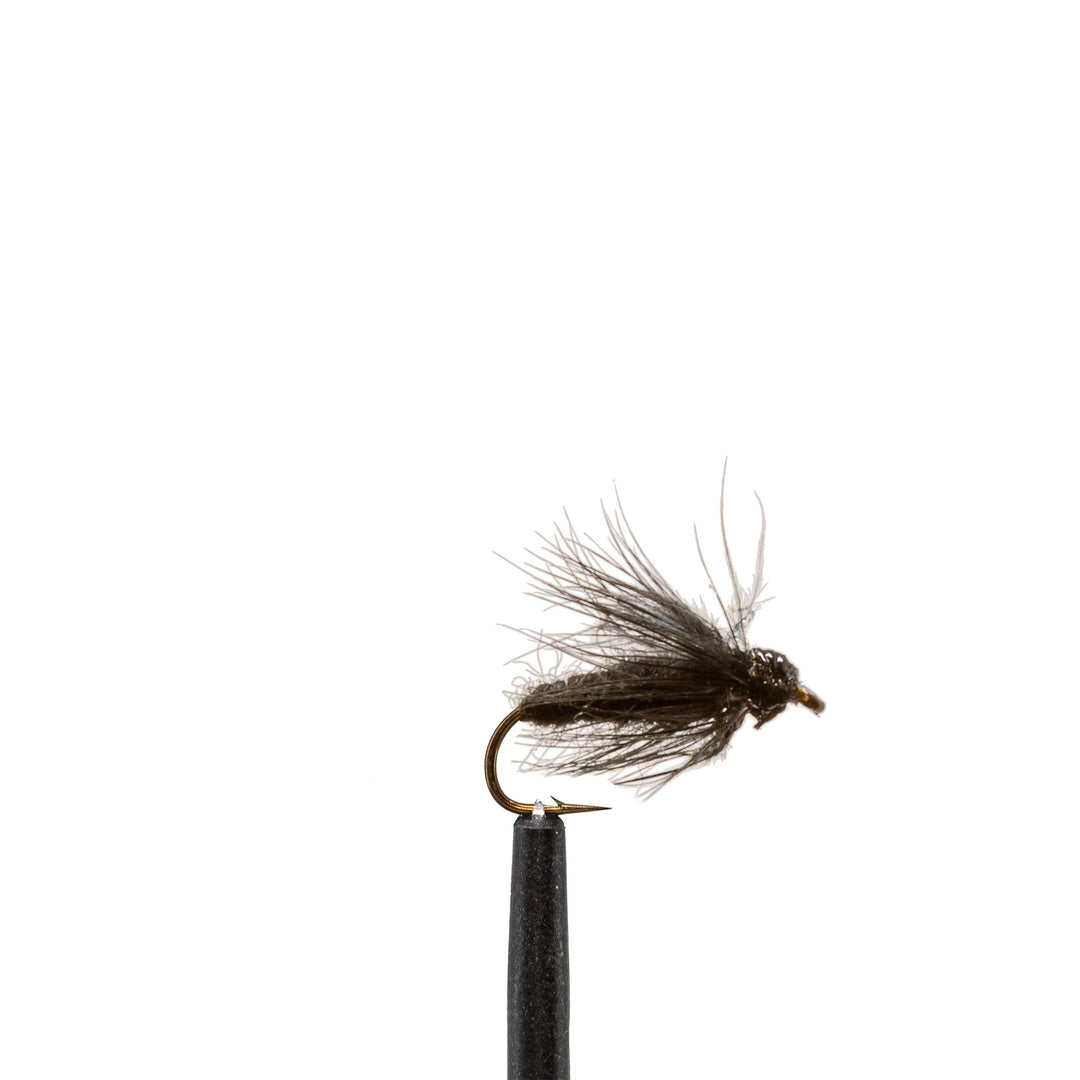 Soft Hackle Black - Emerger | Jackson Hole Fly Company