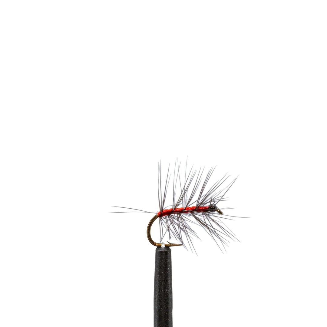 Bloody Butcher Spec - Dry Flies, Flies | Jackson Hole Fly Company