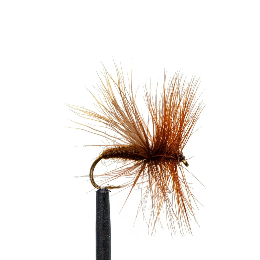 caddis fly fishing lure Life Cycle 32-Pack Assortment CDC keeps it from absorbing water ROKC Favorite Fly Fishing Flies