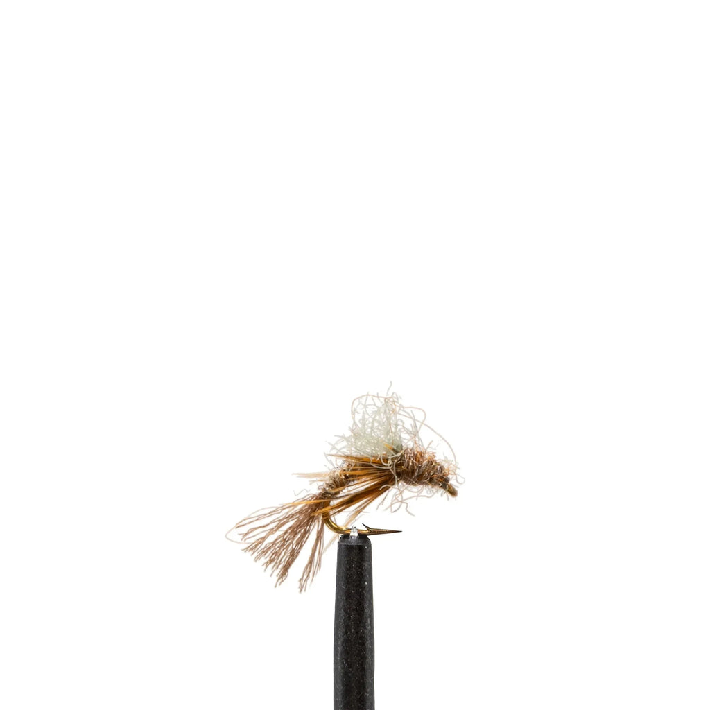 caddis-pupa-brown-or-jackson-