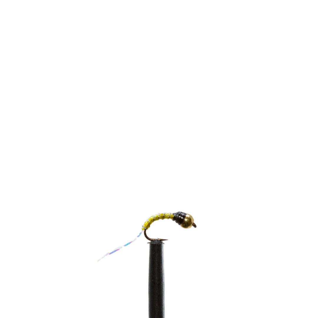 Dill Yellow Zebra Nymph - Chironomid, Flies, Nymphs | Jackson Hole Fly Company