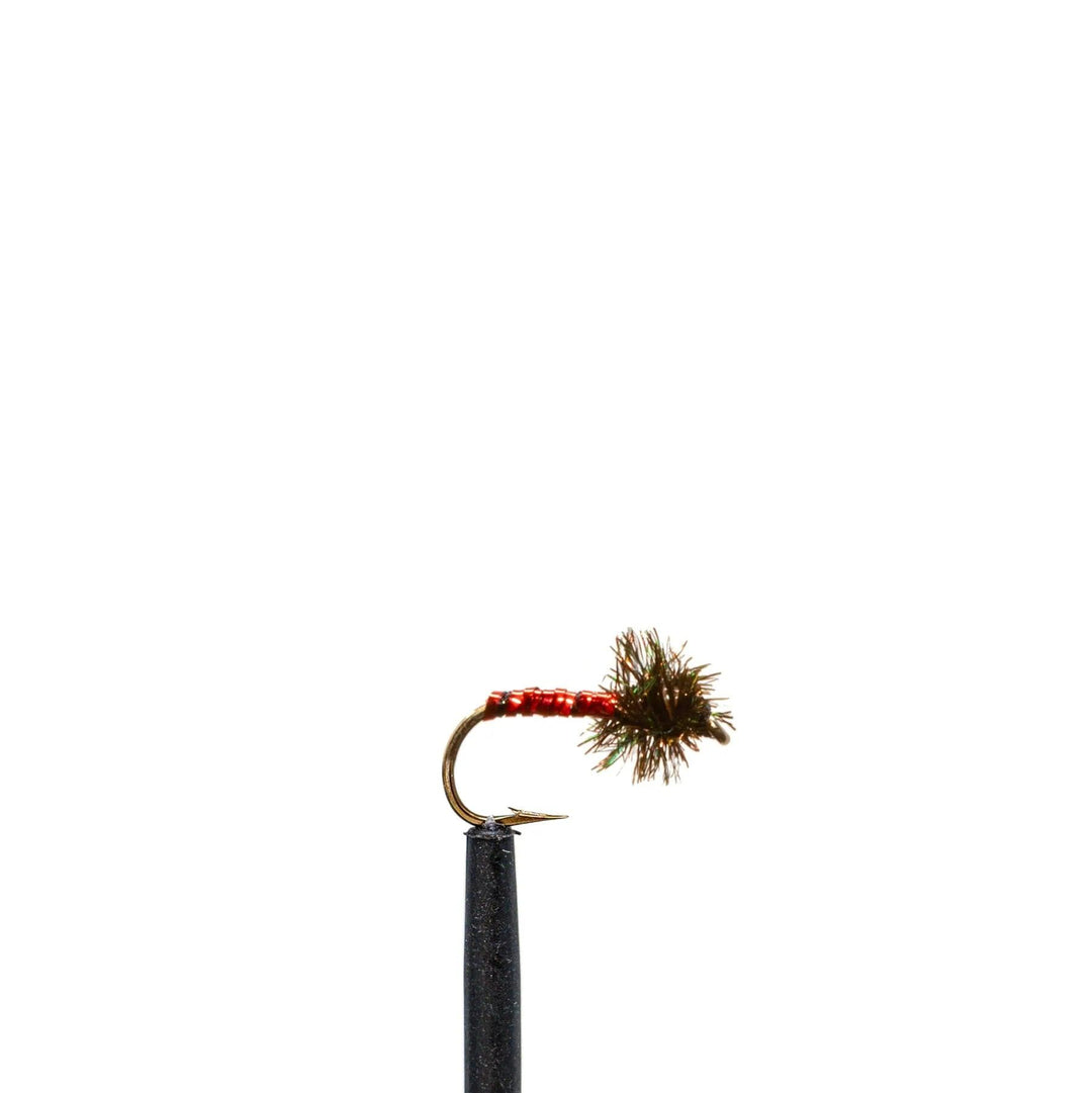 Disco Midge Red - Chironomid, Flies, Nymphs | Jackson Hole Fly Company