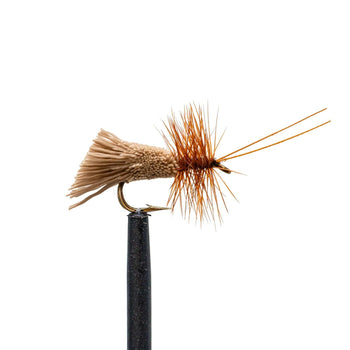 Goddard Caddis