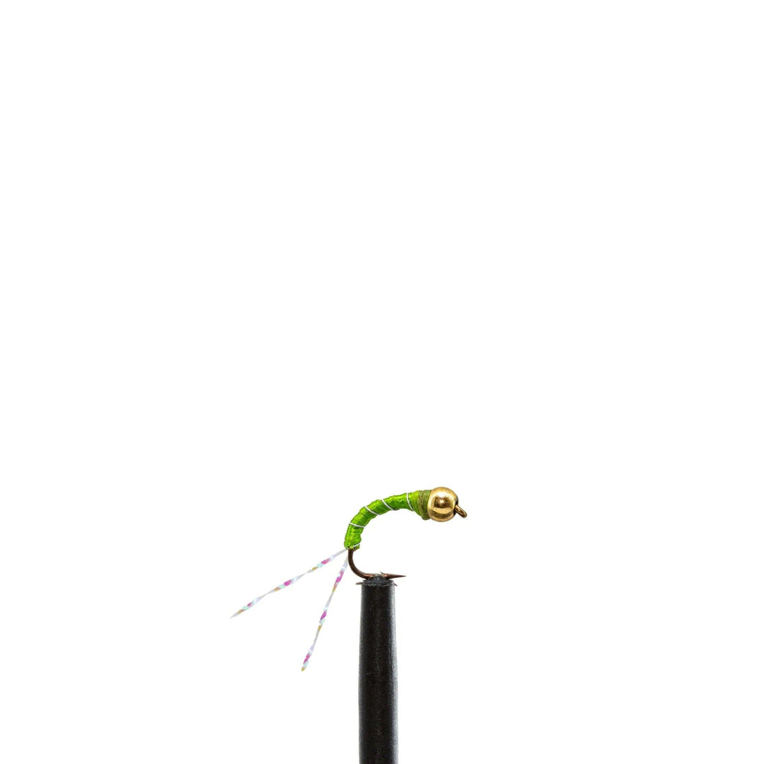 Green Zebra Nymph - Chironomid, Flies, Midge, Nymphs | Jackson Hole Fly Company