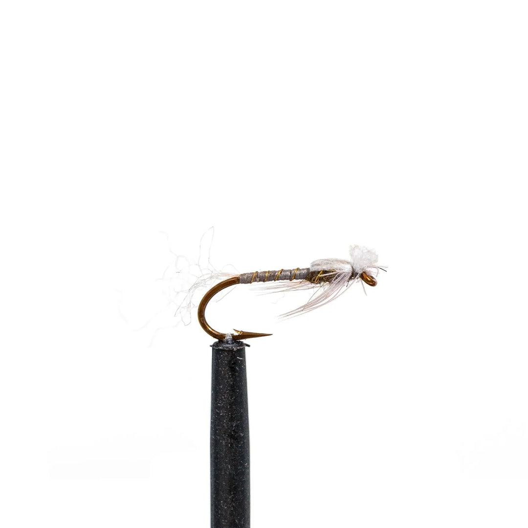 JHFLYCO Mayfly Life Stages Assortment | Loaded Fly Box – Jackson
