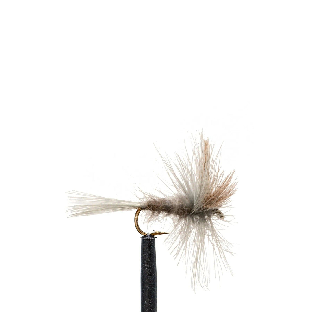 Hendrickson - Dry Flies, Flies | Jackson Hole Fly Company