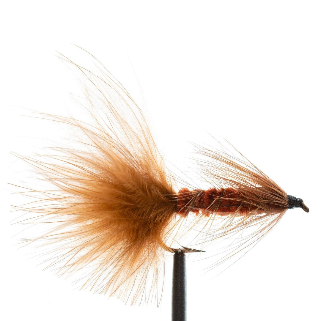 Brown Wooly Bugger - 12 | Jackson Hole Fly Company