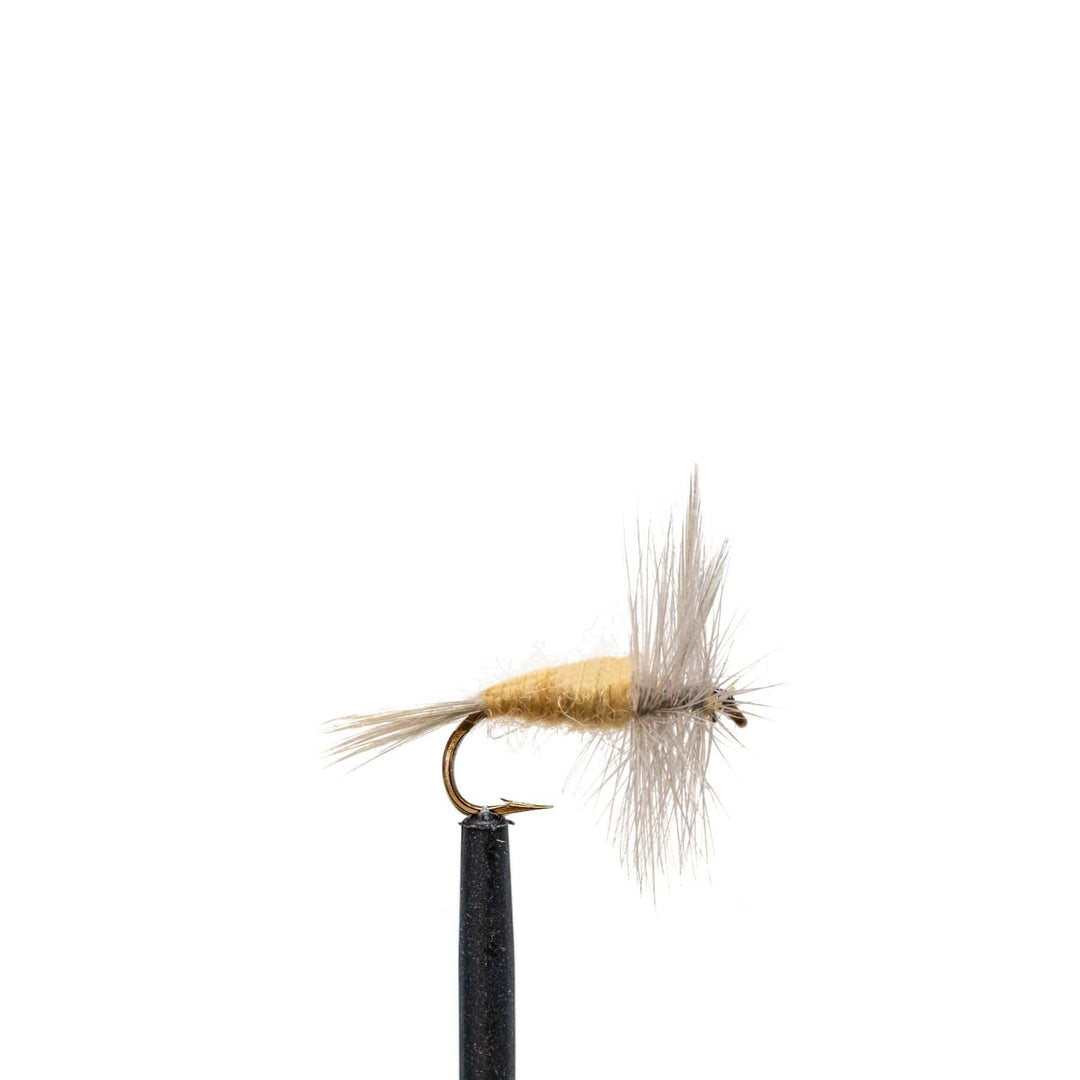 Pale Morning Dun - Dry Flies, essentials, Flies, PMD | Jackson Hole Fly Company