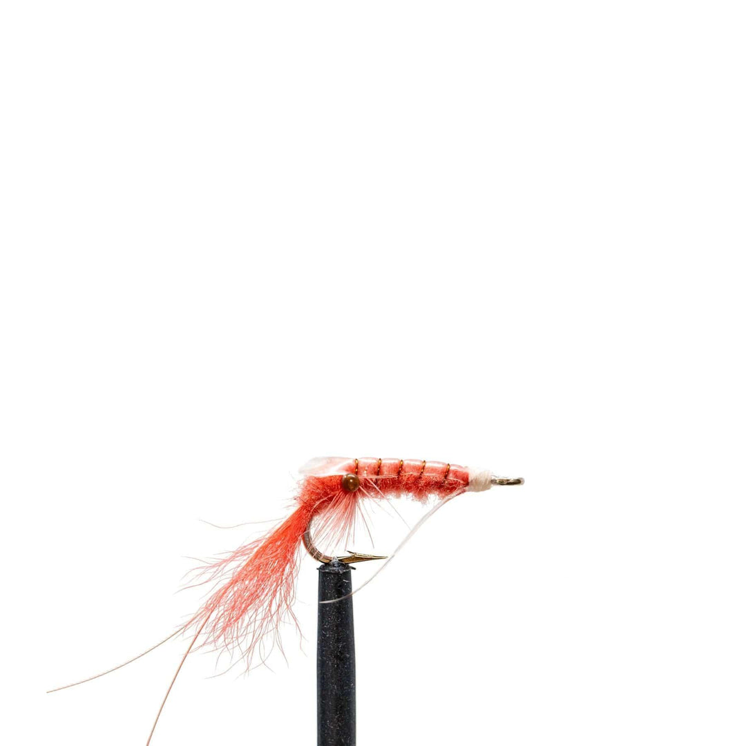 Shrimp Pink - Bonefish, Flies, Salt Water, Saltwater, Streamers | Jackson Hole Fly Company