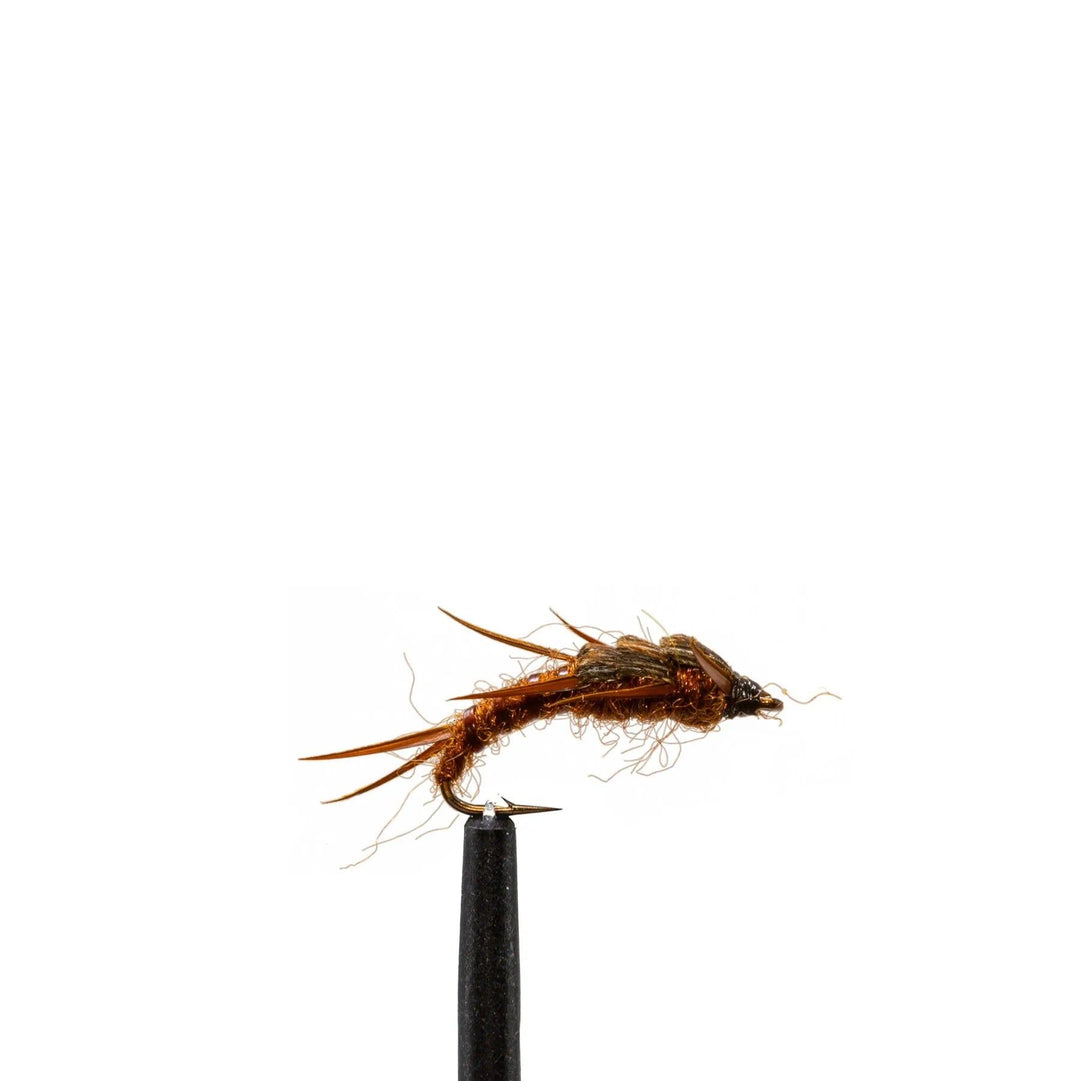 Kaufmann's Stonefly Nymph Brown - Flies, Nymphs | Jackson Hole Fly Company