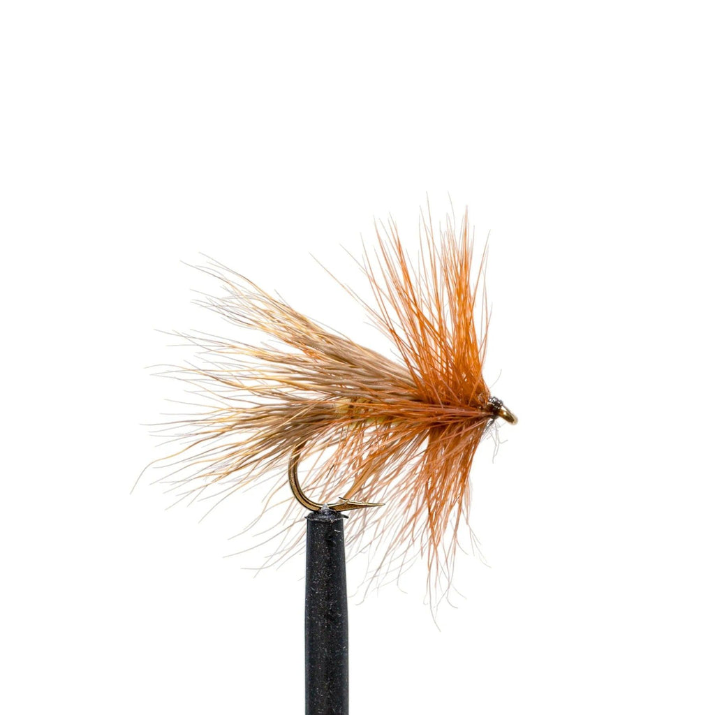 Light Bucktail Caddis – Caddis Dry Fly | JHFLYCO – Jackson Hole