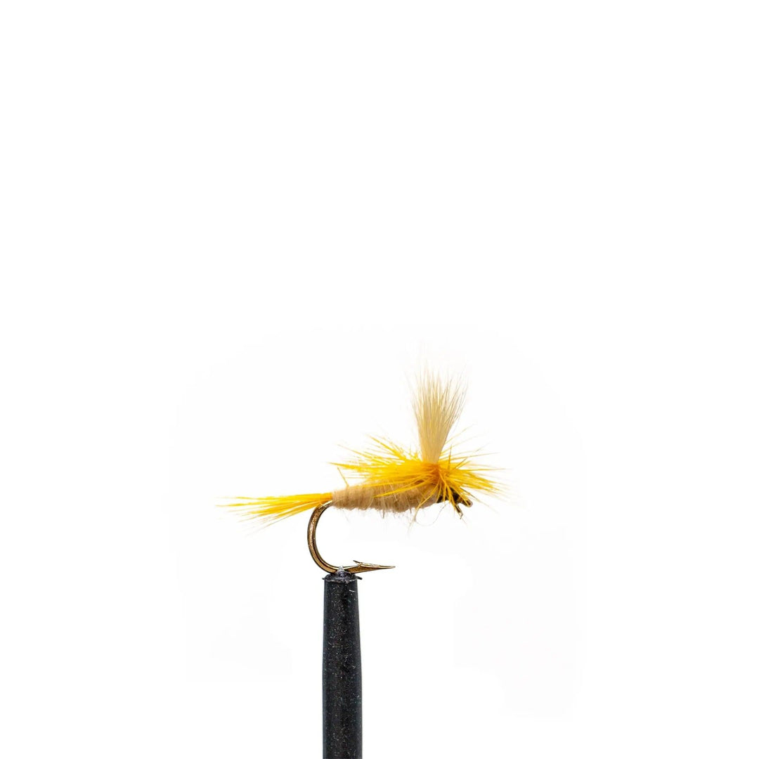 cahill fly reel Light Cahill Parachute