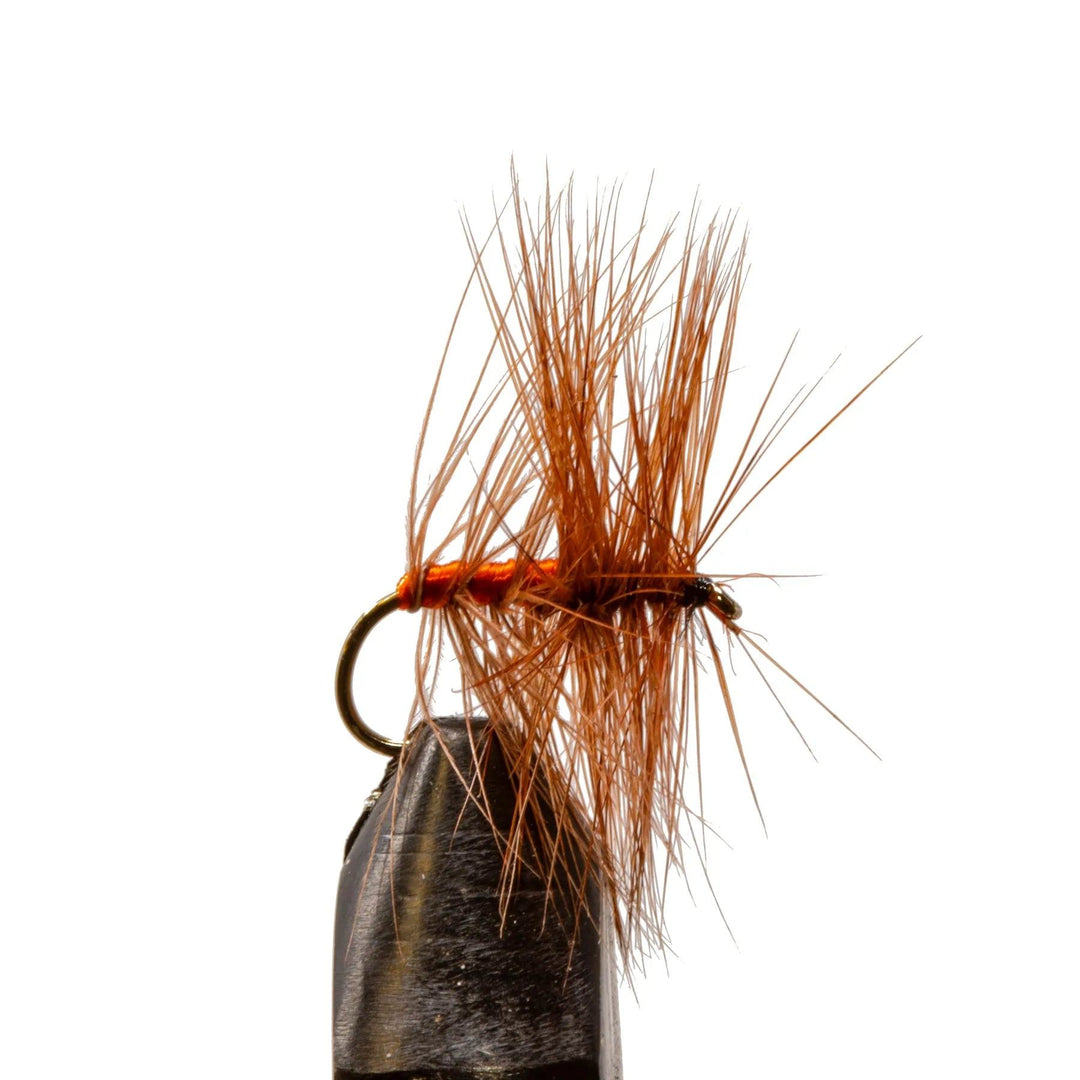 Orange Asher - Dry Flies, Flies | Jackson Hole Fly Company