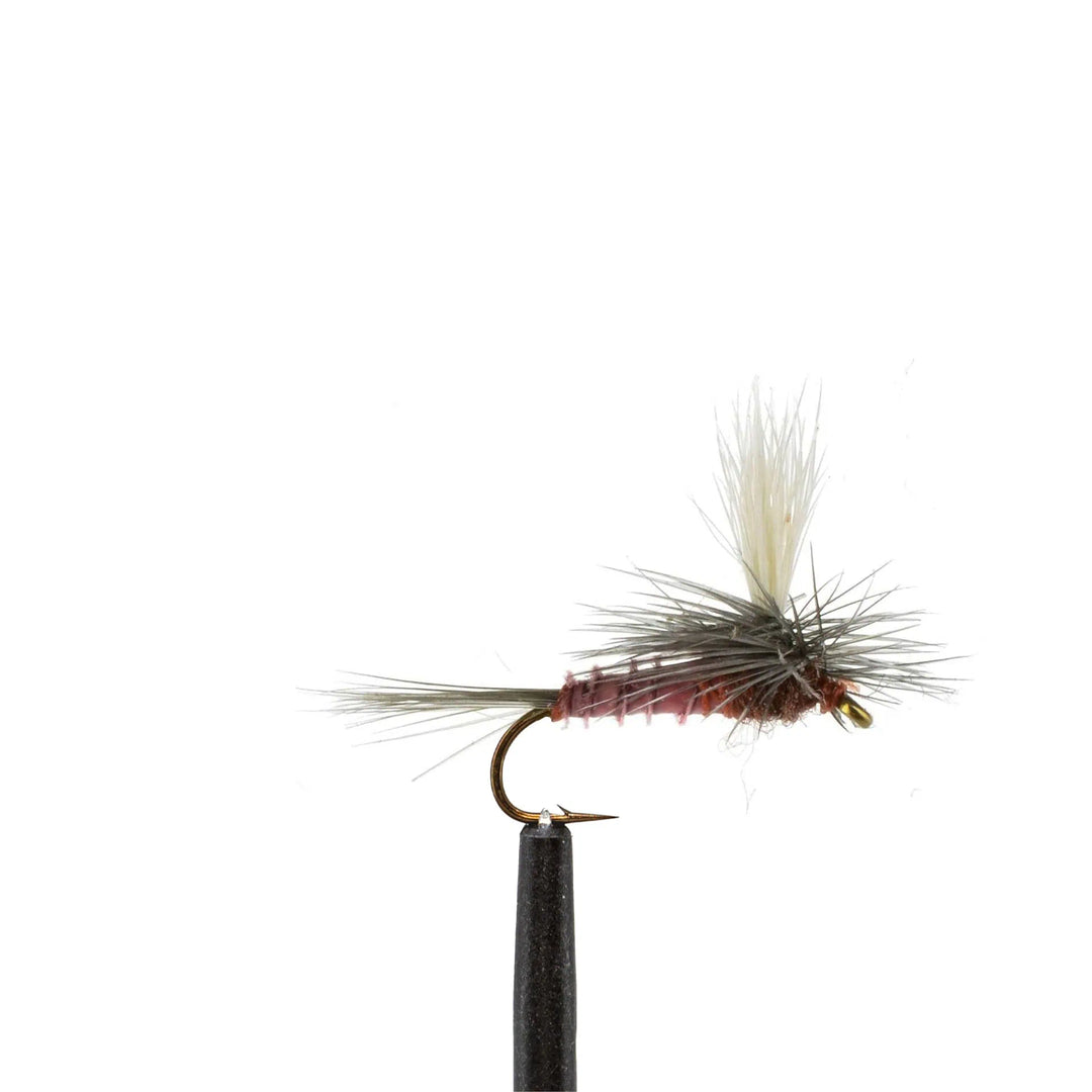 Parachute Mahogany Dun - Dry Flies, Flies | Jackson Hole Fly Company