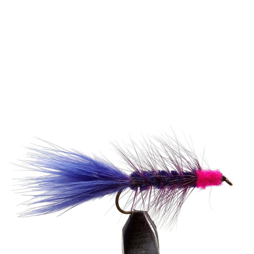 Purple Egg Sucking Leech Cerise Head - Flies, Leeches, Streamers | Jackson Hole Fly Company